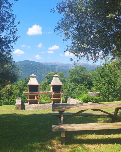 Barbecues